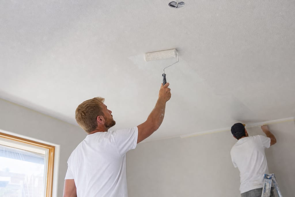 Ceiling Paint photo